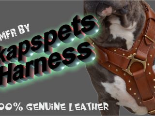 DOGS LEATHER HARNESS & LEASH MFR.