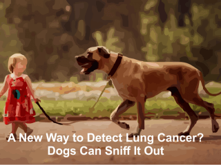 Sniffing Out Lung Cancer: The Amazing Ability of Dogs - Kapspets