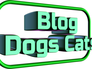 BLOGS ON DOGS & CATS