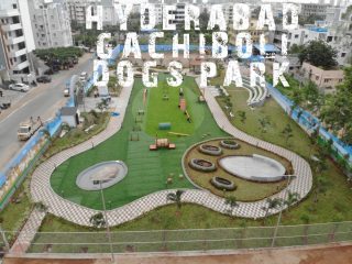 Hyderabad Gachibowli Dogs Park - GHMC